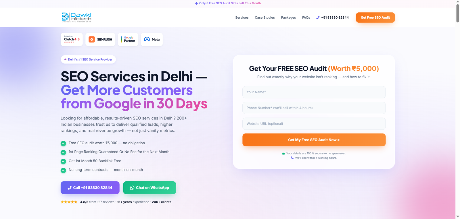 SEO Services Delhi preview